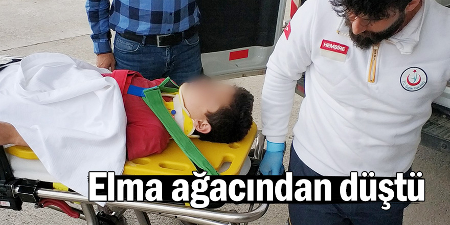 Elma ağacından düşen çocuk hastanelik oldu