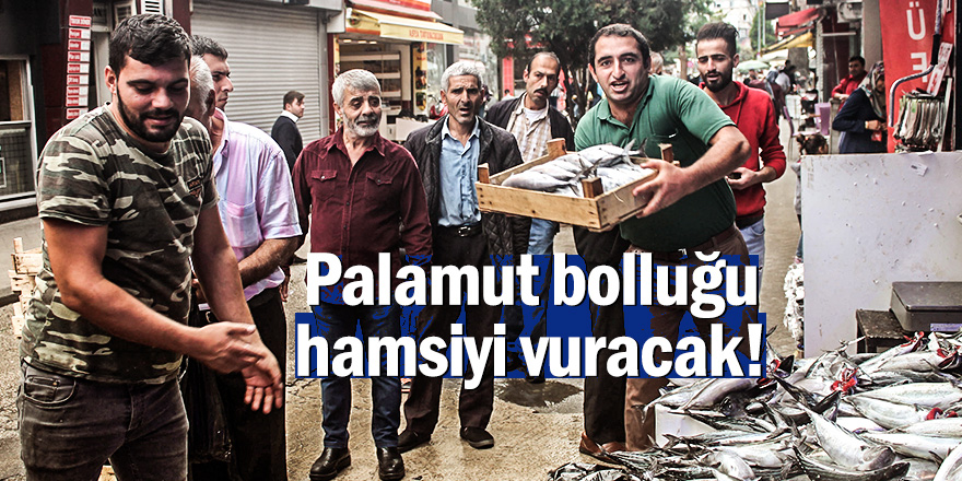 Palamut bolluğu hamsiyi vuracak!