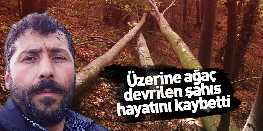 Üzerine ağaç devrilen şahıs hayatını kaybetti