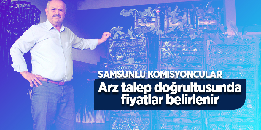 Samsunlu komisyoncular: "Arz talep doğrultusunda fiyatlar belirlenir"