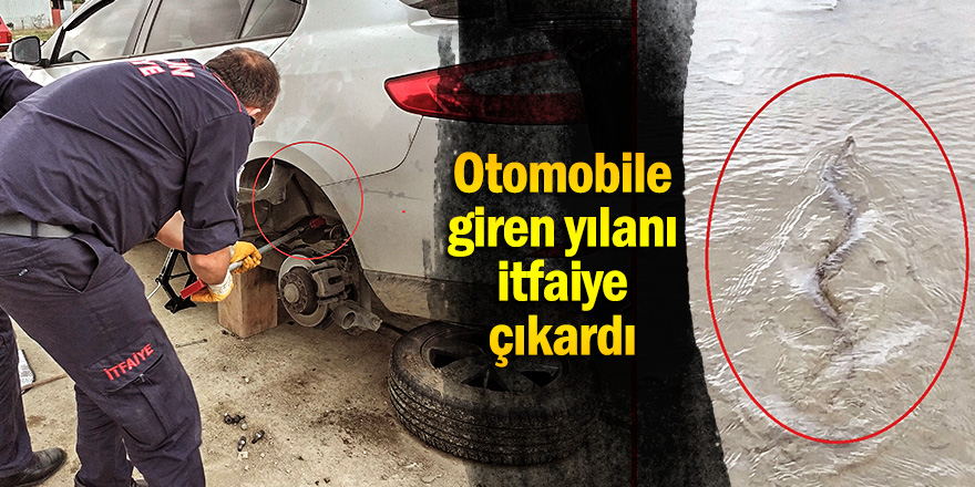 Otomobile giren yılanı itfaiye çıkardı