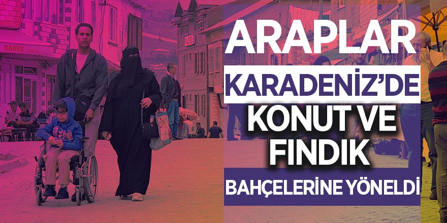 Araplar, Karadeniz’de konut ve fındık bahçelerine yöneldi