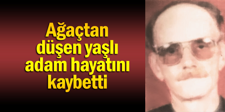 Ağaçtan düşen yaşlı adam hayatını kaybetti