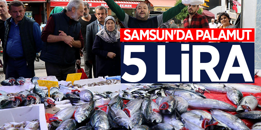 Samsun'da palamut 5 lira 