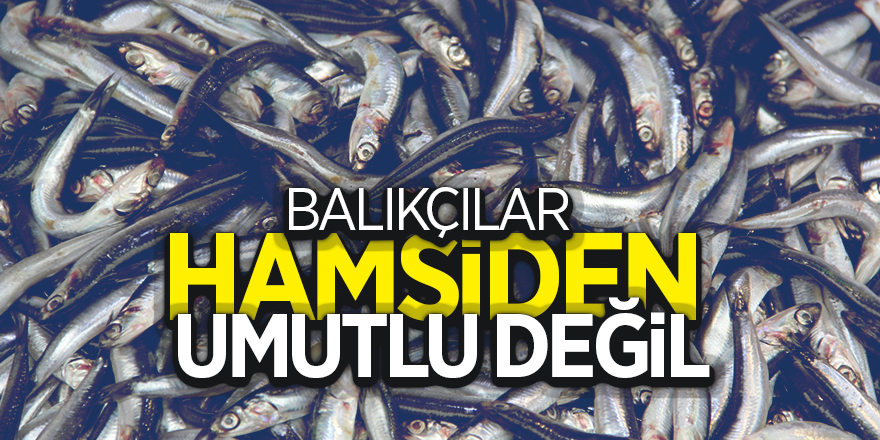 Balıkçılar hamsiden umutlu değil