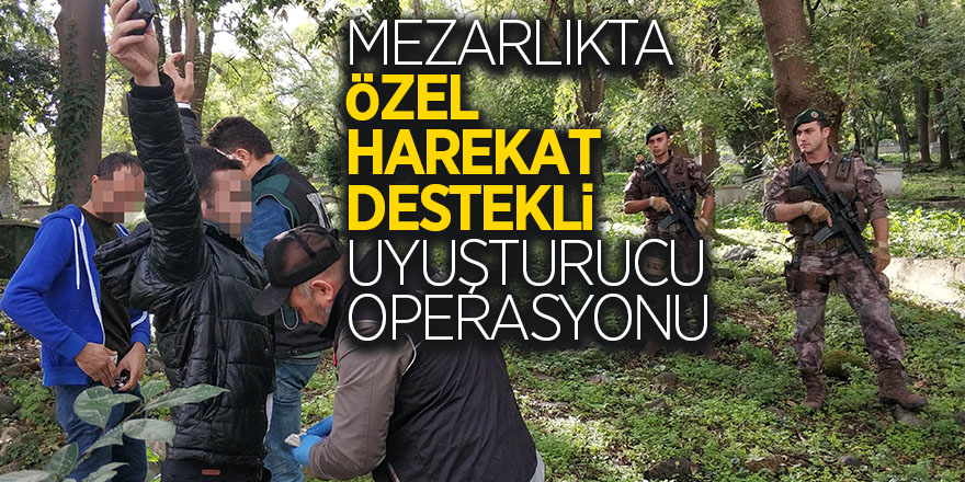 Mezarlıkta özel harekat destekli uyuşturucu operasyonu 