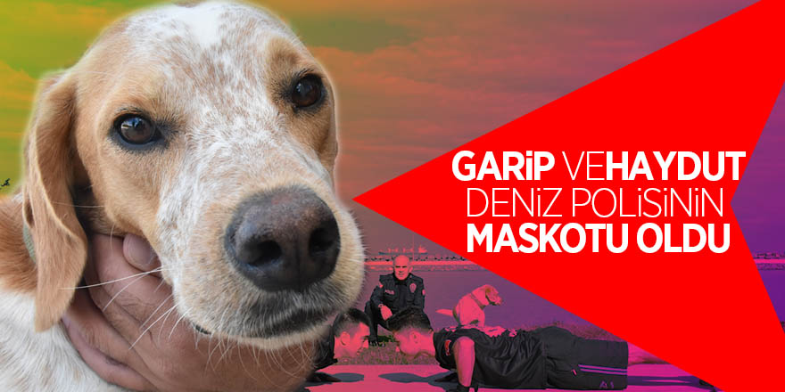 "Garip" ve "Haydut" deniz polisinin maskotu oldu