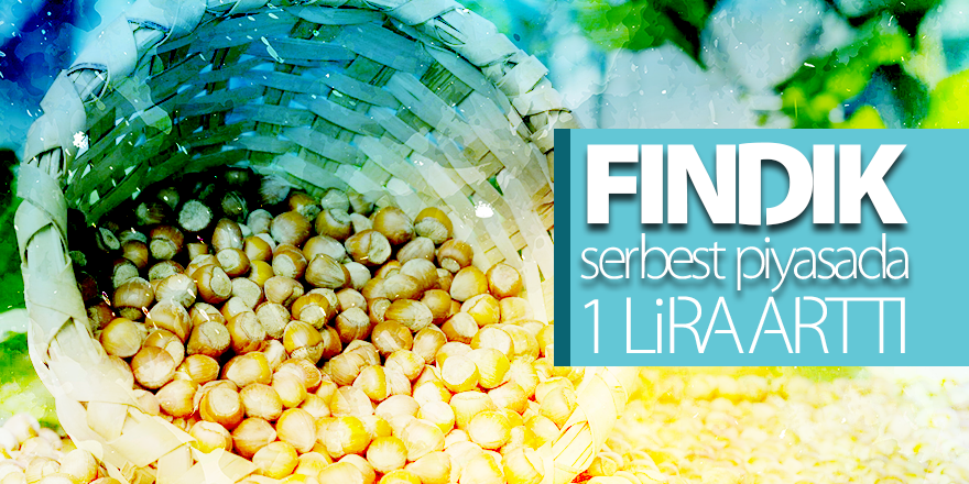 Fındık serbest piyasada 1 lira arttı