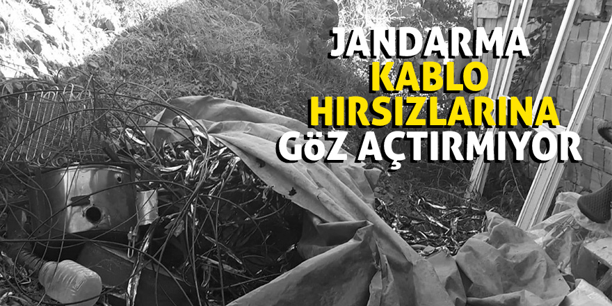 Jandarma kablo hırsızlarına göz açtırmıyor