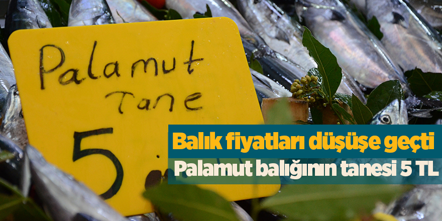 Balık fiyatları düştü! Palamut balığının tanesi 5 TL