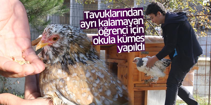 Tavuklarından ayrı kalamayan öğrenci için okula kümes yapıldı