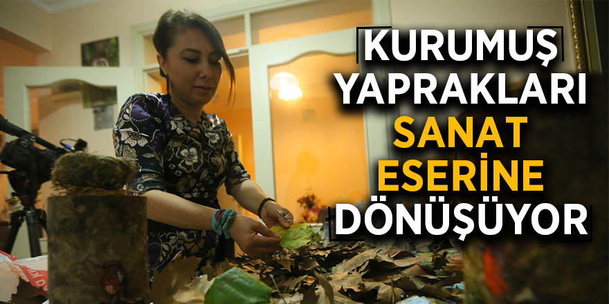 Kurumuş yaprakları sanat eserine dönüşüyor