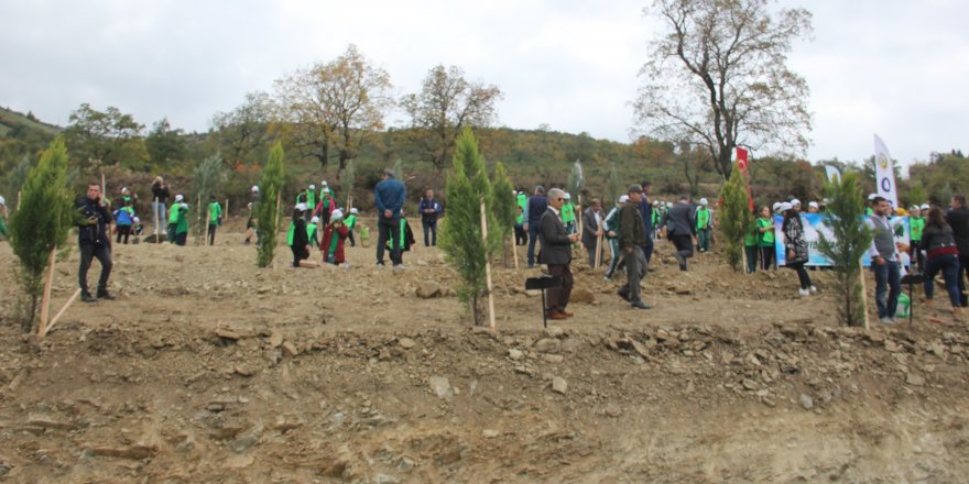 Samsun’da 3 bin fidan toprakla buluştu 