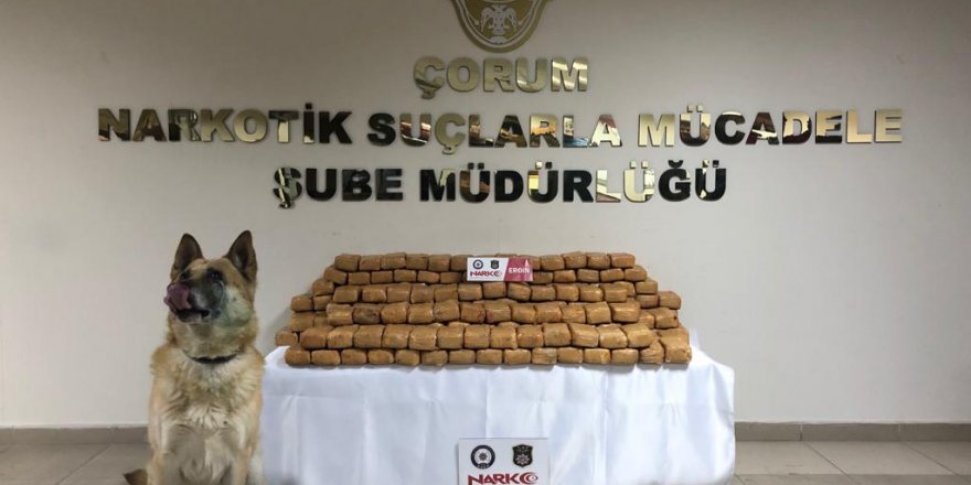 TIR'da 110 kilo eroin ele geçirildi; 2 gözaltı