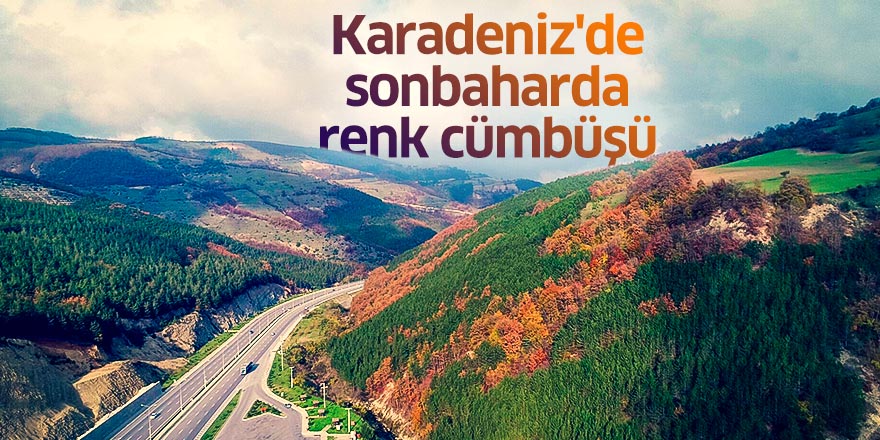 Karadeniz'de sonbaharda renk cümbüşü