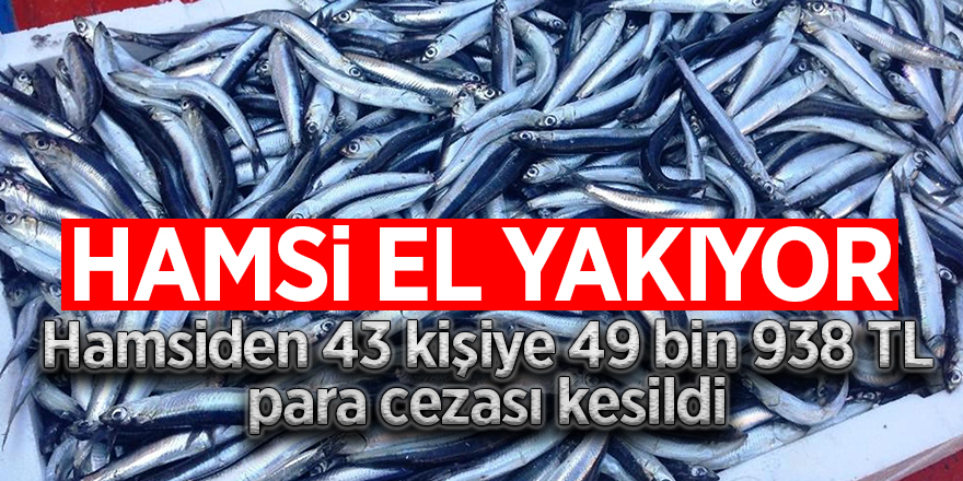 Hamsiden 43 kişiye 49 bin 938 TL para cezası kesildi 