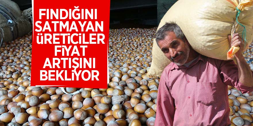 Fındığını satmayan üreticiler, fiyat artışını bekliyor