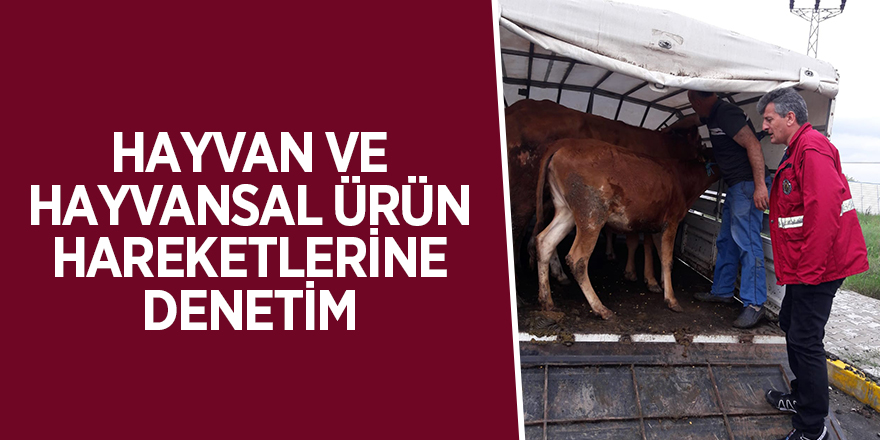 Hayvan ve hayvansal ürün hareketlerine denetim 