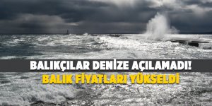 Balıkçılar denize açılamadı! Balık fiyatları yükseldi
