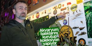 Akvaryum balıklarını kurutup koleksiyon yapıyor