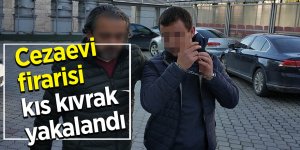 Cezaevi firarisi kıs kıvrak yakalandı