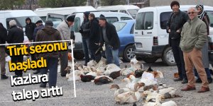 Tirit sezonu başladı, kazlara talep arttı