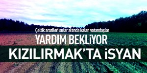 Çeltik arazileri sular altında kalan vatandaşlar yardım bekliyor