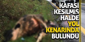 Kafası kesilmiş halde yol kenarında bulundu 