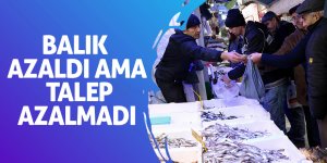 Karadeniz'de balık azaldı ama talep azalmadı 