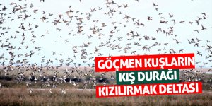 Göçmen kuşların kış durağı Kızılırmak Deltası