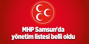 MHP Samsun'da yönetim listesi belli oldu