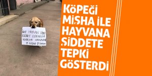 Köpeği Mişha ile hayvana şiddete tepki gösterdi