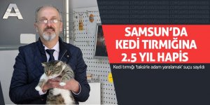 Kedi tırmığı 'taksirle adam yaralamak' suçu sayıldı