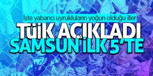 TÜİK, en çok yabancı uyruklunun yaşadığı illeri açıkladı