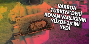 Kaplan: “Çözüm, toplu ve bilinçli ilaçlama”