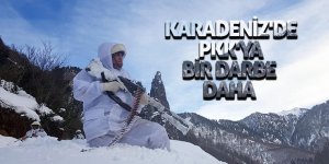 Karadeniz'de PKK'lı teröristlere bir darbede günlüklerinden