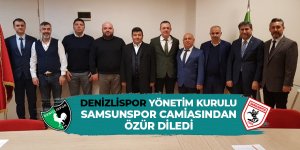 Denizlispor Kulübü, Samsunspor camiasından özür diledi