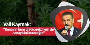 Kaymak: "Keneviri hem üreteceğiz hem de sanayisini kuracağız"