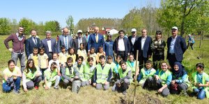 Tekkeköy yeşille bütünleşti 