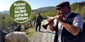 Kurnaz çoban keçileri zurna ile otlatıyor 