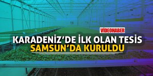 Samsun tüm Türkiye'nin fide ihtiyacını karşılamaya talip