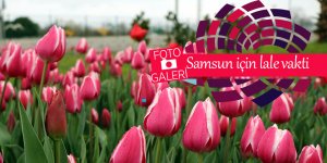 Samsun için lale vakti