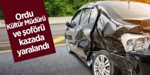 Ordu Kültür Müdürü ve şoförü kazada yaralandı