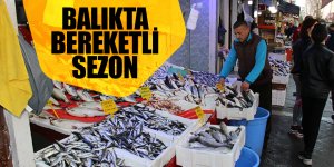 Balıkçıların yüzü gülüyor