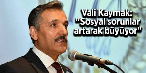 Vali Kaymak: "Büyük şehirlerde sosyal sorunlar her gün artarak büyüyor"