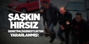 Şaşkın hırsız denetimli serbestlikten yararlanmış