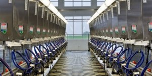 TKDK'dan tarımsal işletmelere hijyen eğitimi