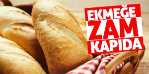 Güler: "Ekmek fiyatlarını güncellemek şart"