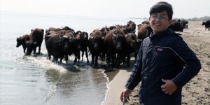 Mandaların Kızılırmak Deltası'na salımı başladı