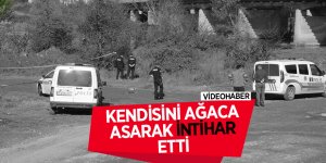 Dere kenarında kendisini ağaca astı